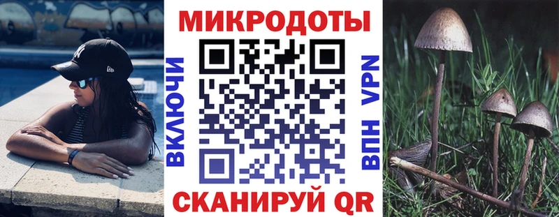 Псилоцибиновые грибы мицелий как найти наркотики Нижнеудинск