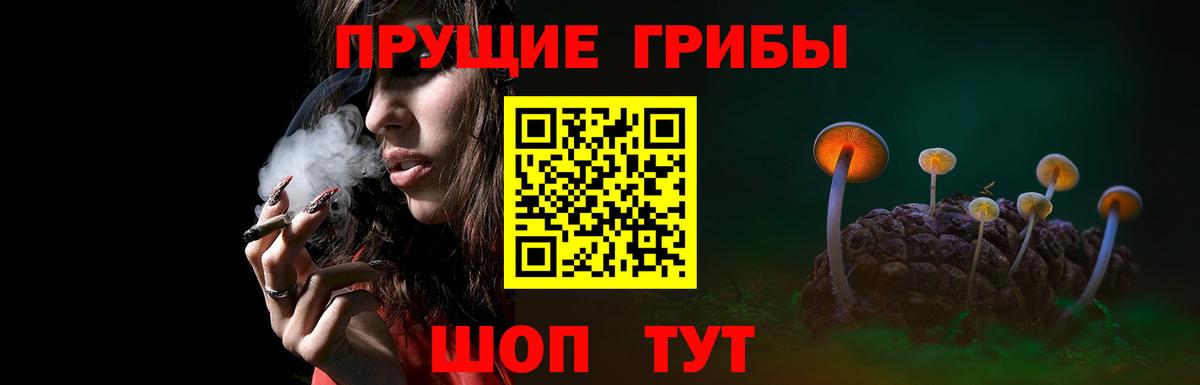Нижнеудинск  Галлюциногенные грибы прущие грибы  Вход с VPN  Псилоцибиновые грибы Psilocybe 